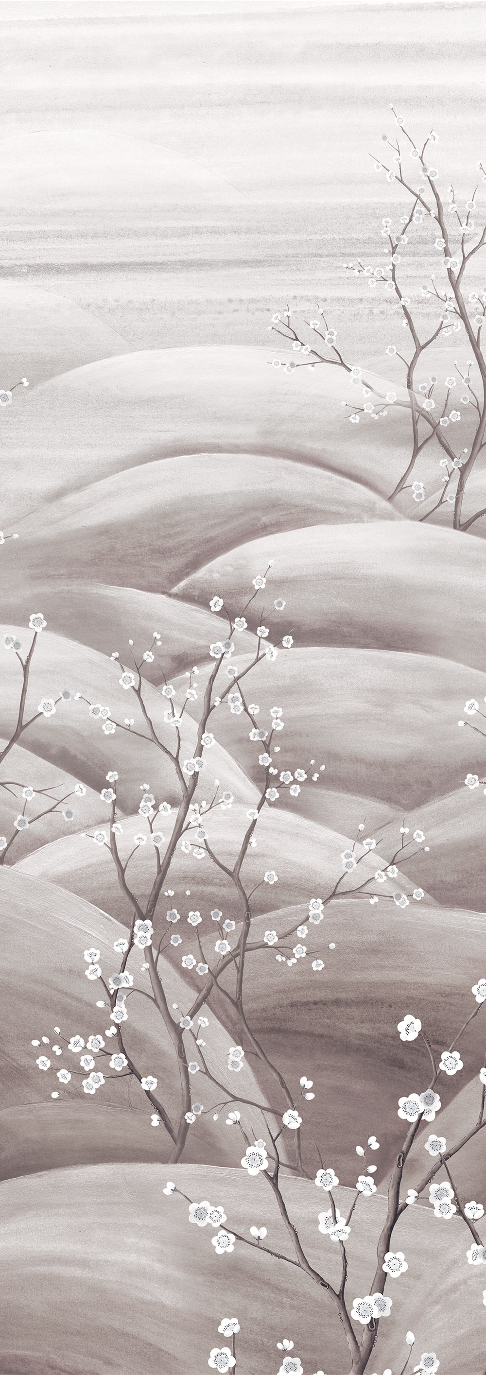 Fototapete, grau, weiß, blühende Sakura-Zweige, DGTRA5032-260, Traces, Masureel