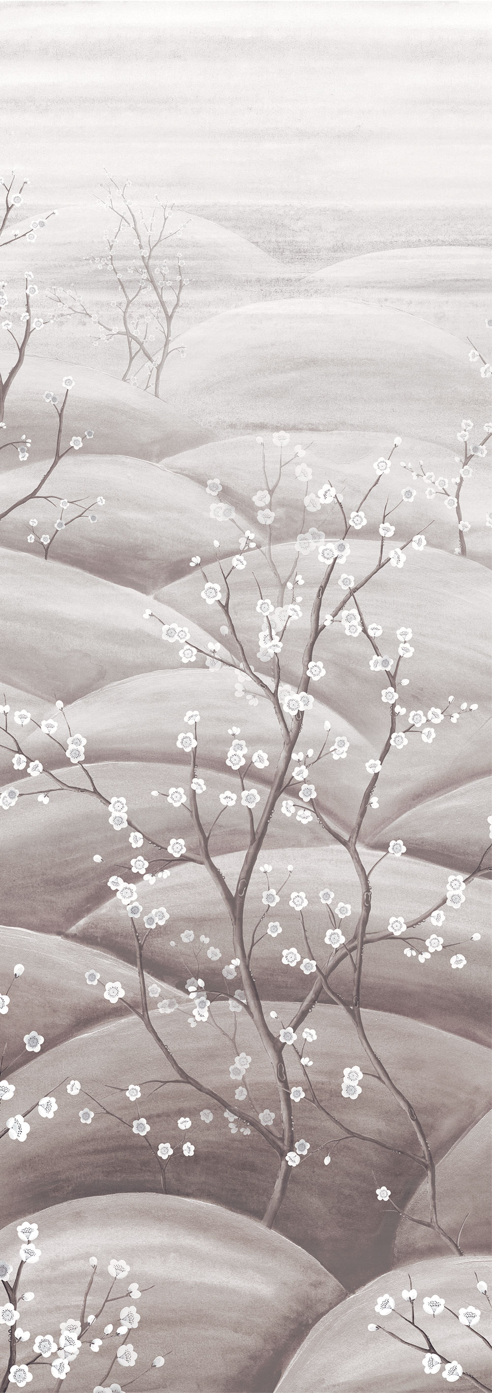 Fototapete, grau, weiß, blühende Sakura-Zweige, DGTRA5033-260, Traces, Masureel