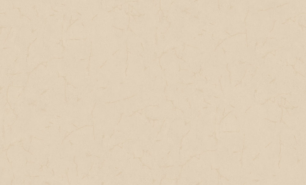 Tapete, beige, weiß, Spachtelputzoptik, 6613, Metamorphosis, Pigmenta, Parato by Cristiana Masi