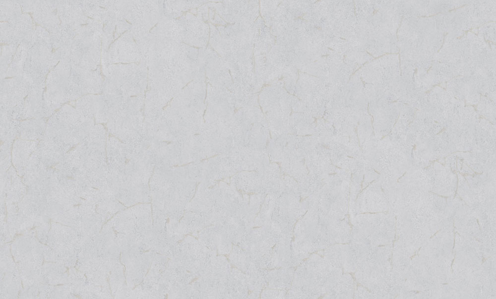 Tapete, silber, grau, Spachtelputzoptik, 6618, Metamorphosis, Pigmenta, Parato by Cristiana Masi
