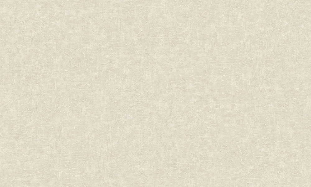 Tapete, grau-beige, Putzoptik, CO1202, Concept, Grandeco