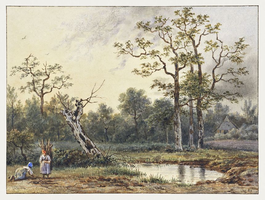 Fototapeten nach Maß, Waldhütte, 10208, Vavex