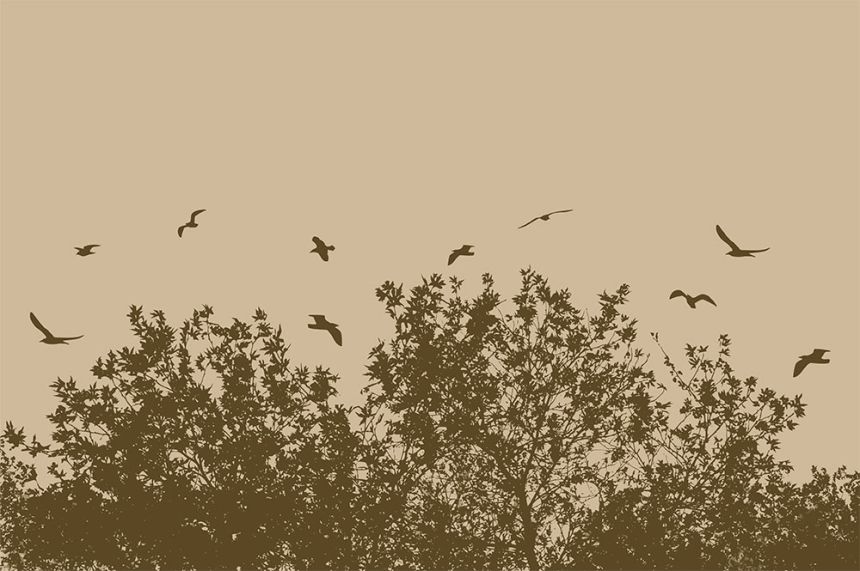 Fototapeten nach Maß, Vögel über dem Wald, 10224, Vavex