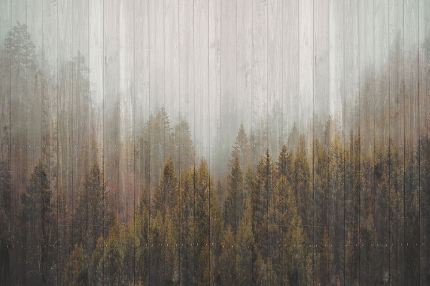 Fototapete nach Maß, Holzzaun, Wald, Bäume, 10229, Vavex