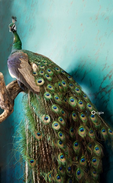 Vliestapete Metallic grün marmoriert 347389, Matières - Stone, Origin