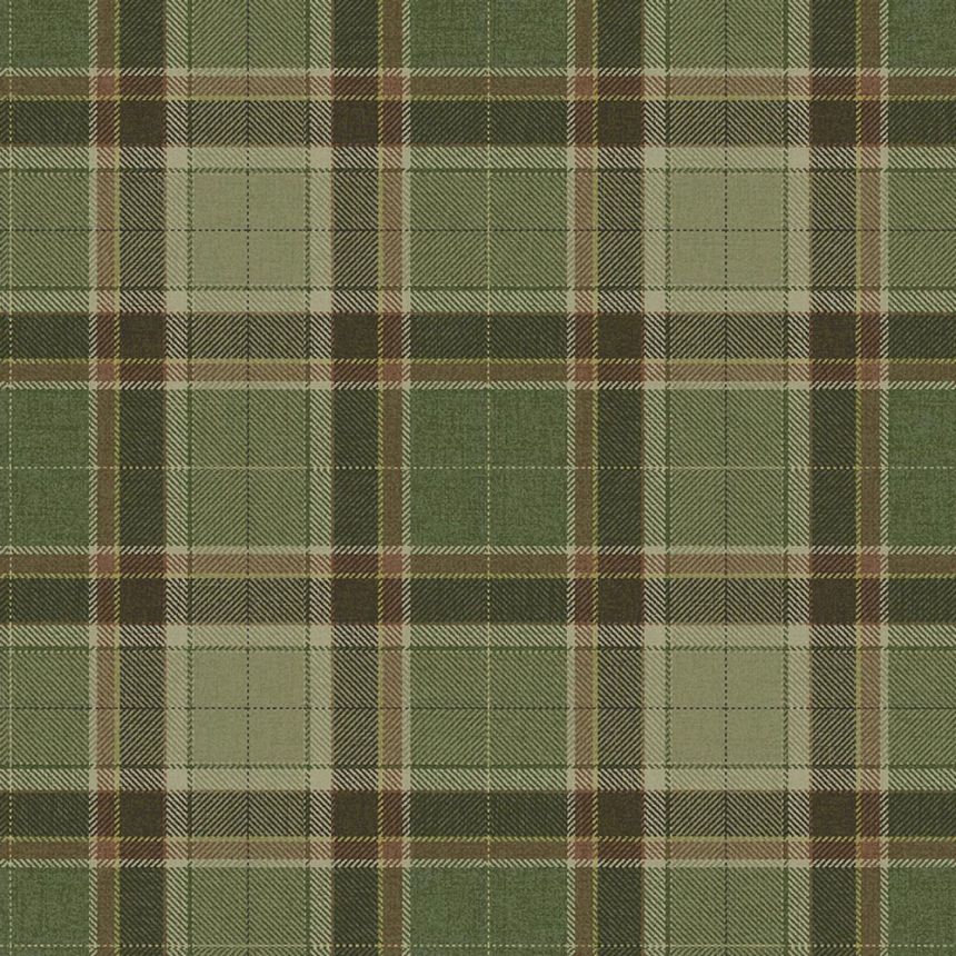 Tapete „Stirling“, grün, braun, CA10404, Carl Robinson Edition 24 „The Highlands“
