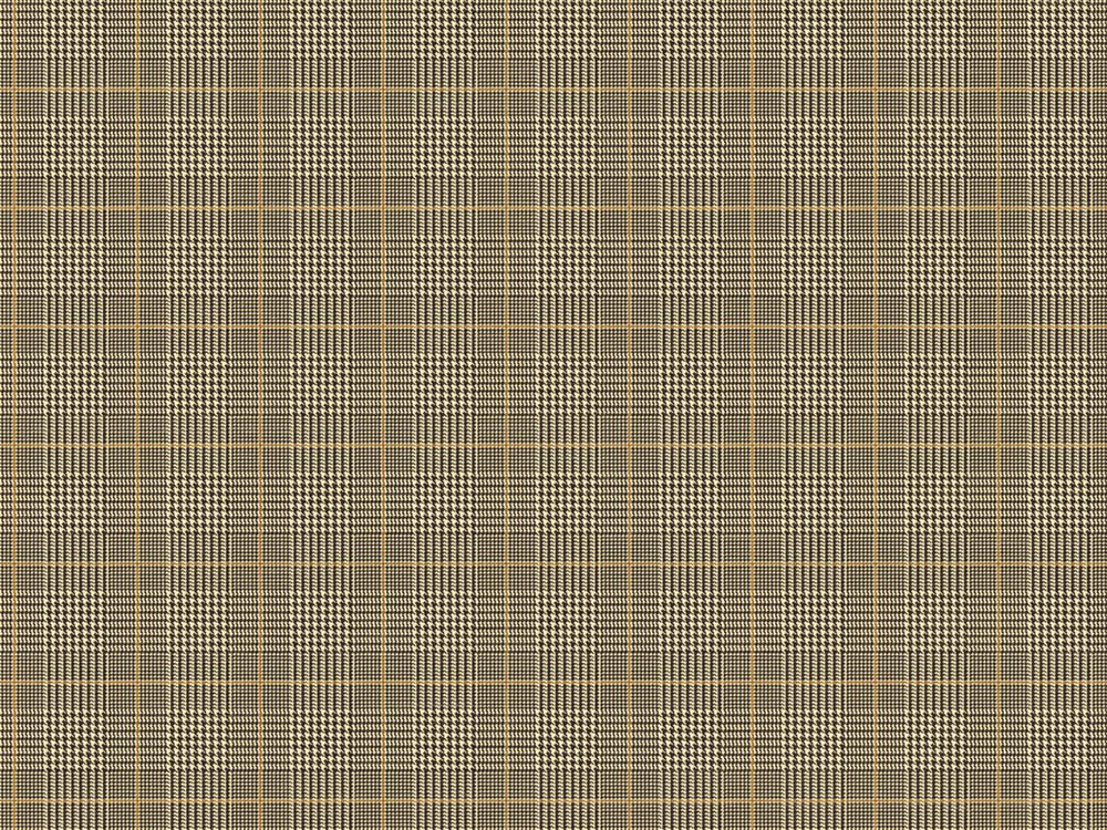 Tapete „St. Andrews“, braun, beige, CA11306, Carl Robinson Edition 24 „The Highlands“