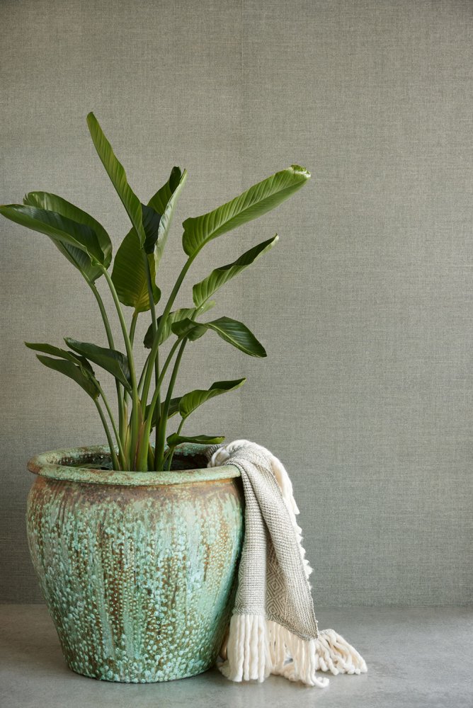 Graue Naturtapete 303520, Natural Wallcoverings III, Eijffinger