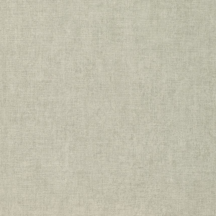 Graue einfarbige Tapete 31610, Textilia, Limonta