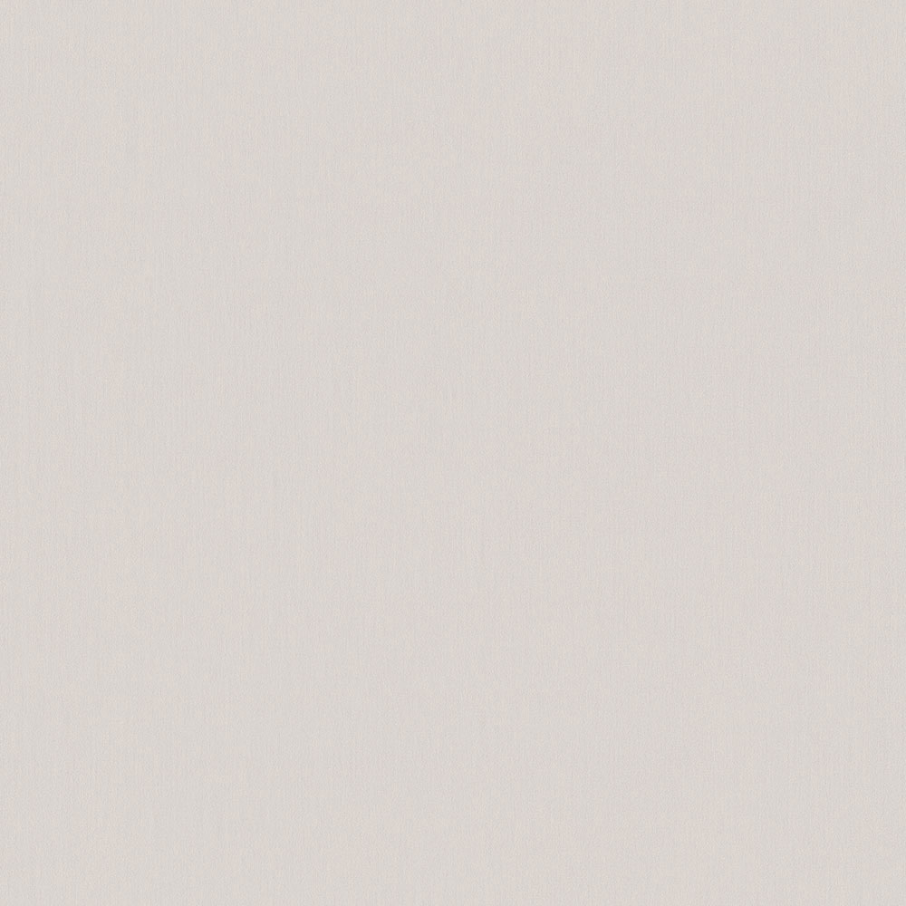 Einfarbige graue Tapete 220811, Doodleedo, BN Walls