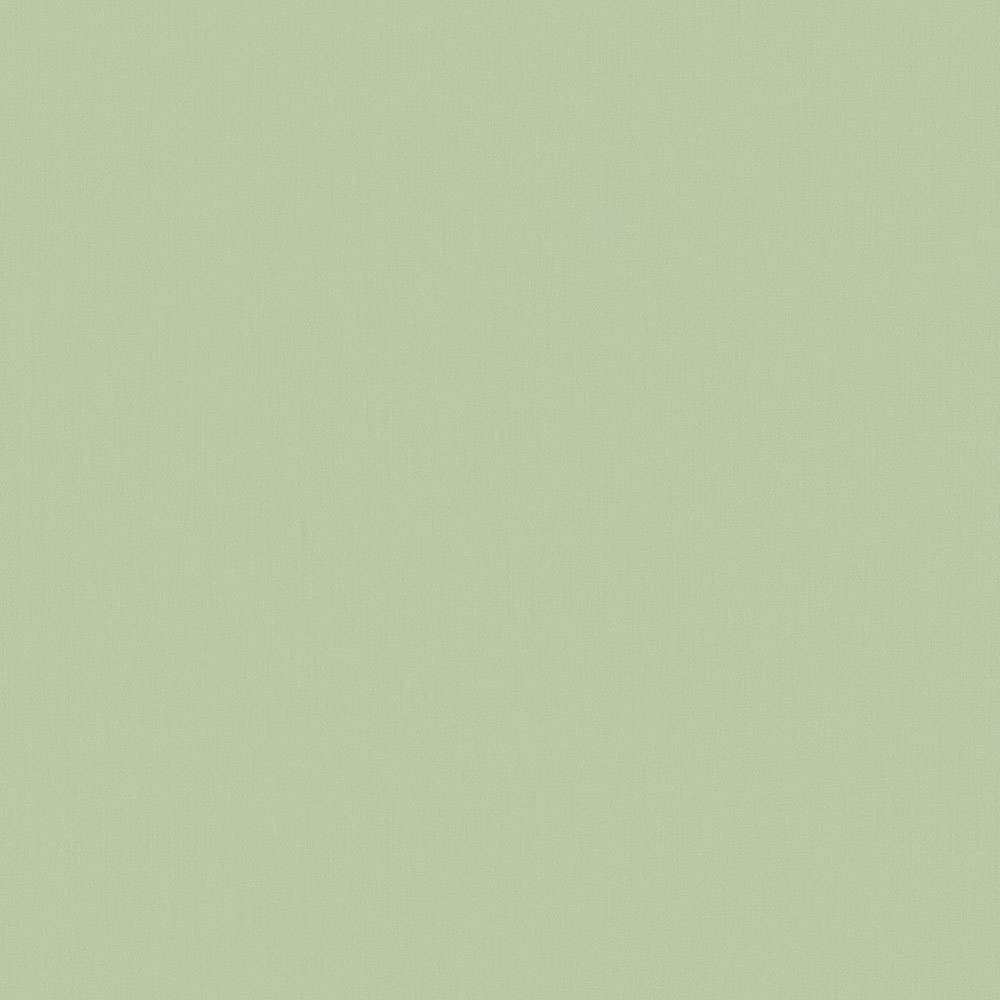 Einfarbige grüne Tapete 220802, Doodleedo, BN Walls