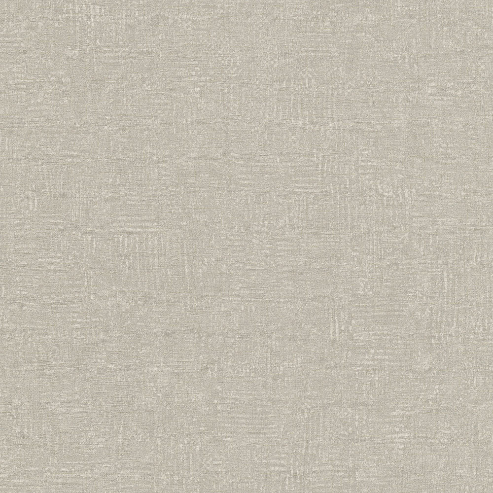 Graue Strukturtapete A50202, Vavex 2024