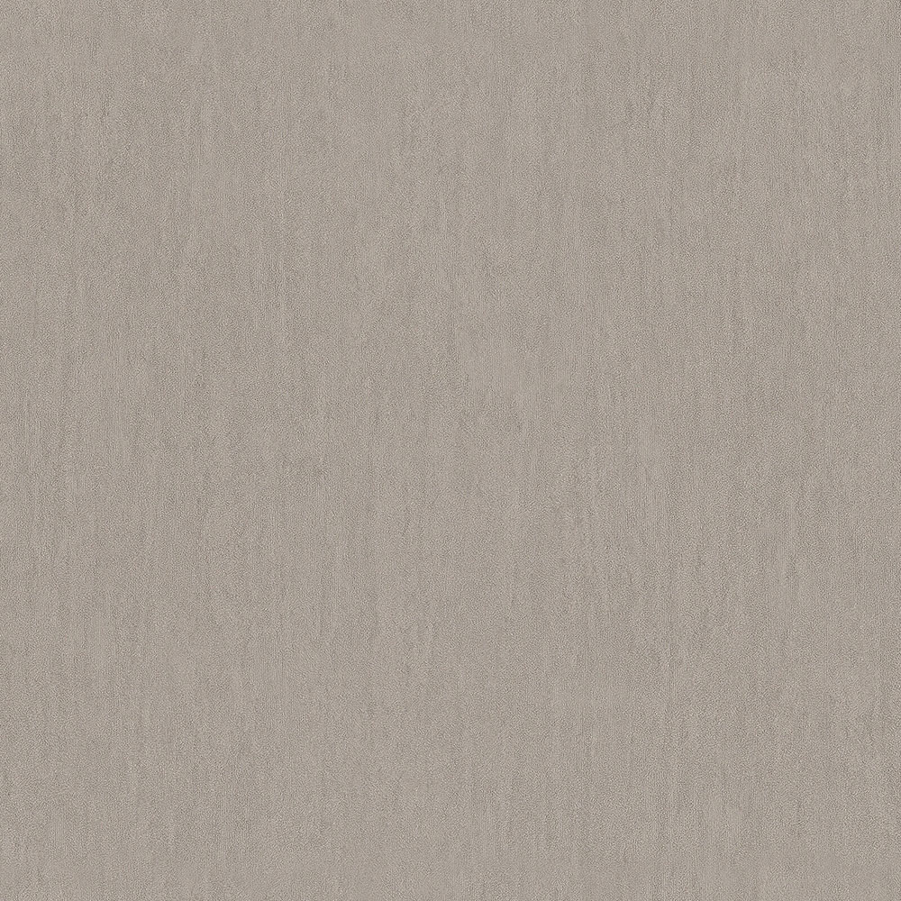 Luxustapete grau-beige Z76019 Vision, Zambaiti Parati