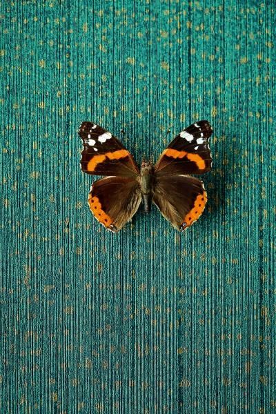 Blaue Vliestapete 358062, Masterpiece, Eijffinger